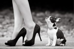 perro mirando a una mujer con zapatos de tacón