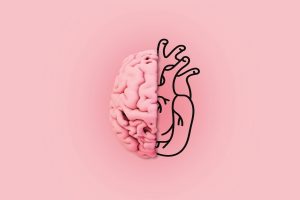 equilibrio entre corazón y cerebro