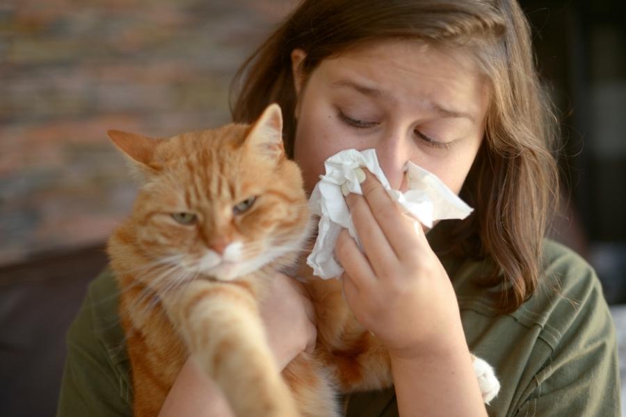 alergias e intolerancias