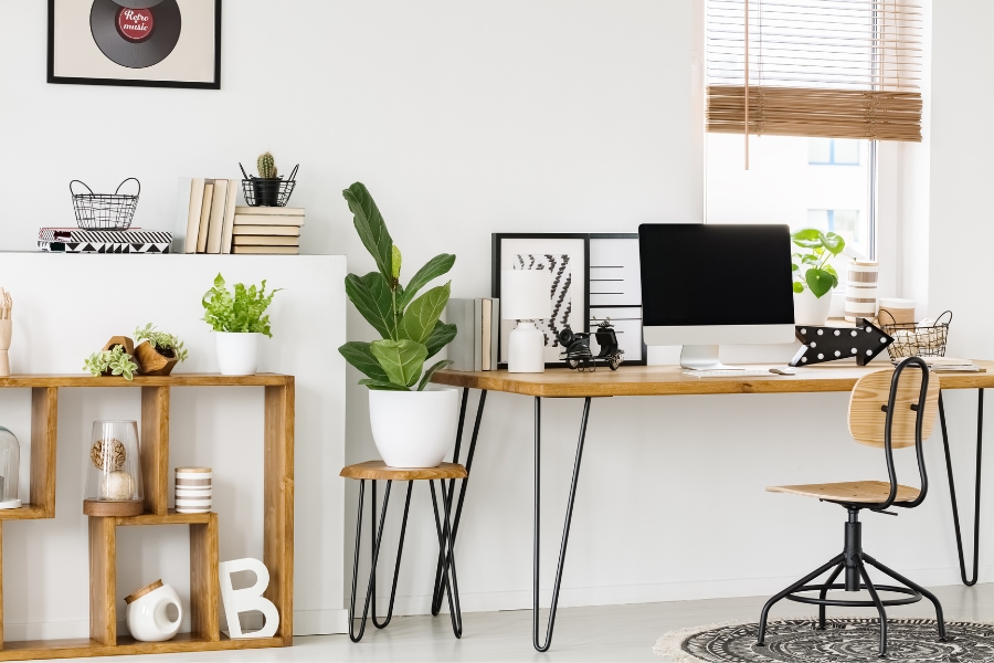 plantas cerca del ordenador