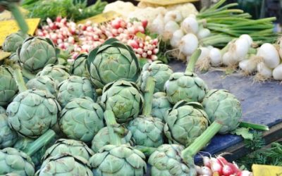 Crema untable de Alcachofas.