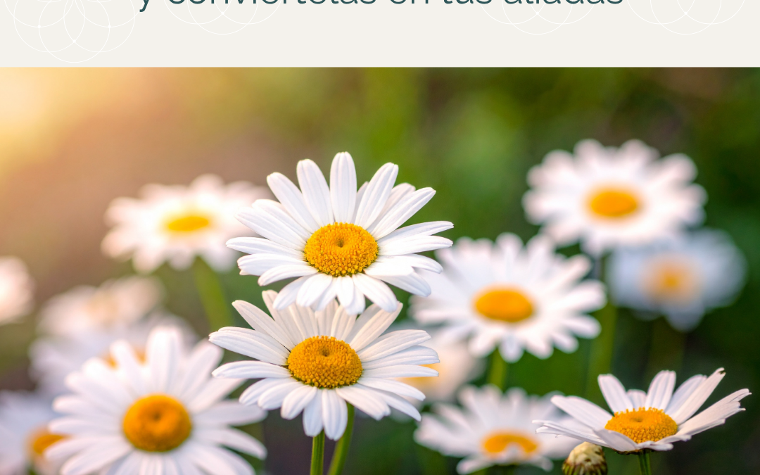 Conoce tus hormonas – Conviértelas en tus aliadas