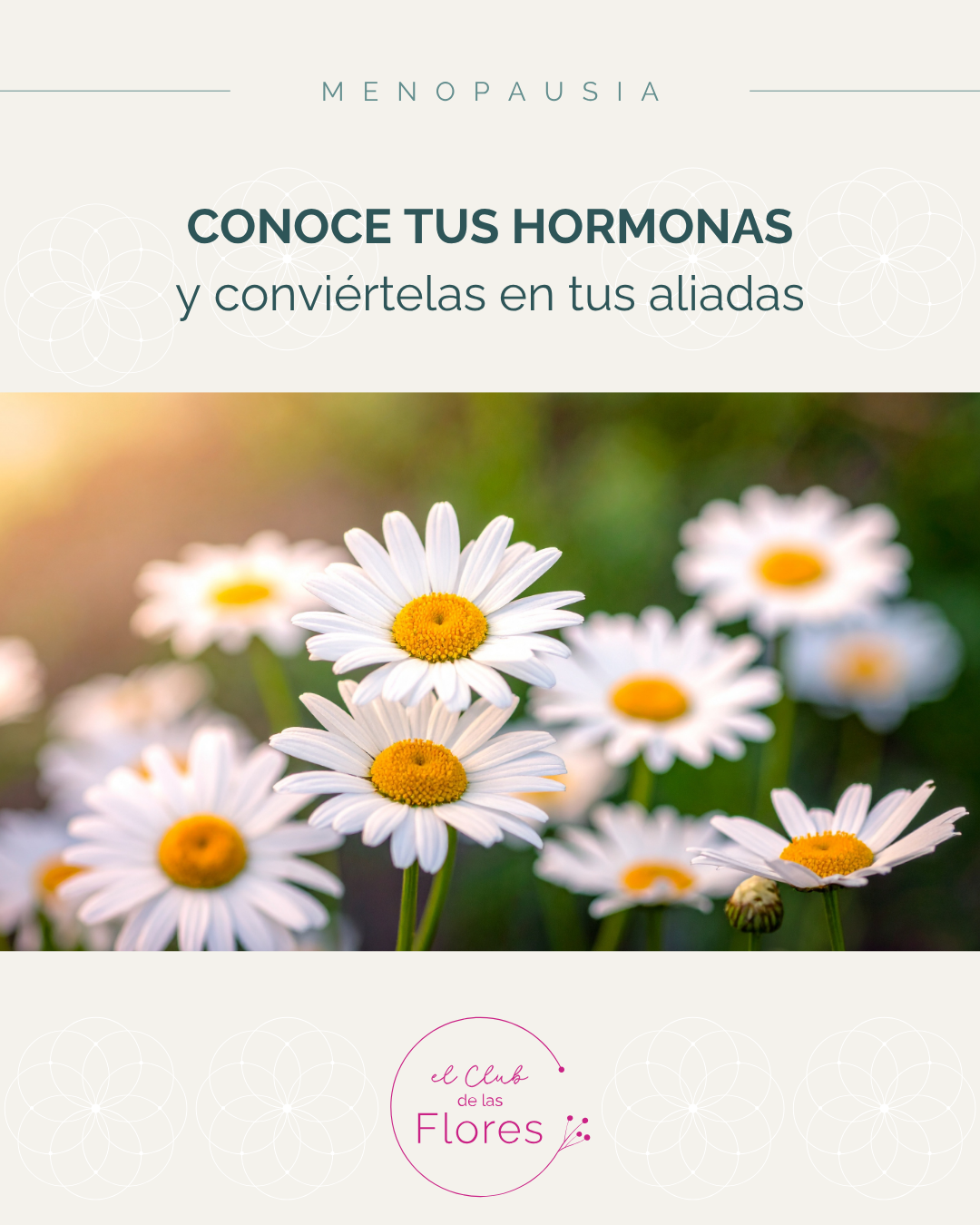 Conoce tus hormonas &ndash; Convi&eacute;rtelas en tus aliadas