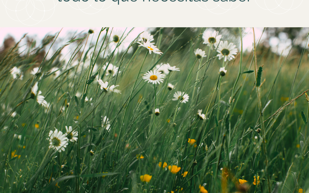 Perimenopausia – Todo lo que necesitas saber