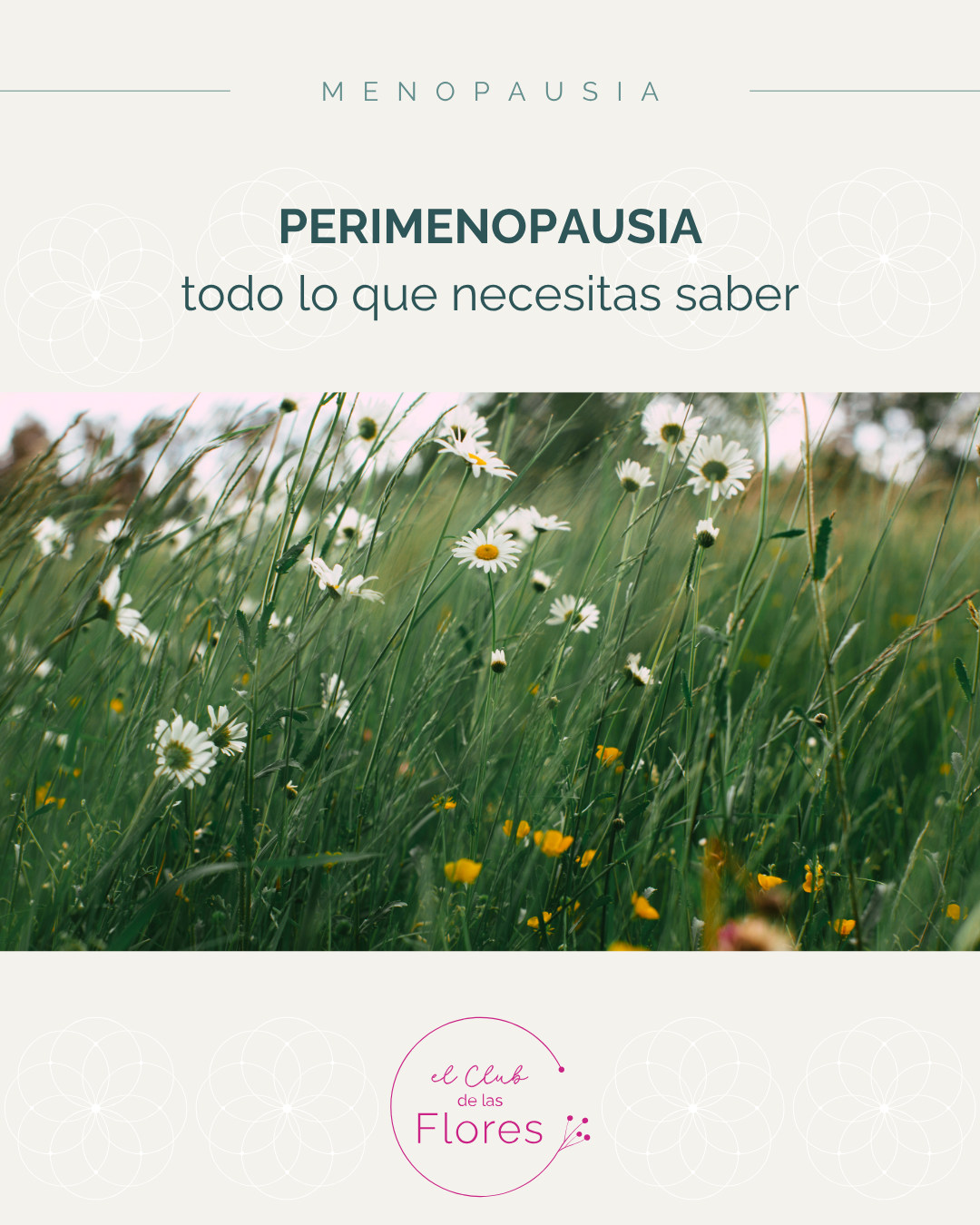 Perimenopausia &ndash; Todo lo que necesitas saber