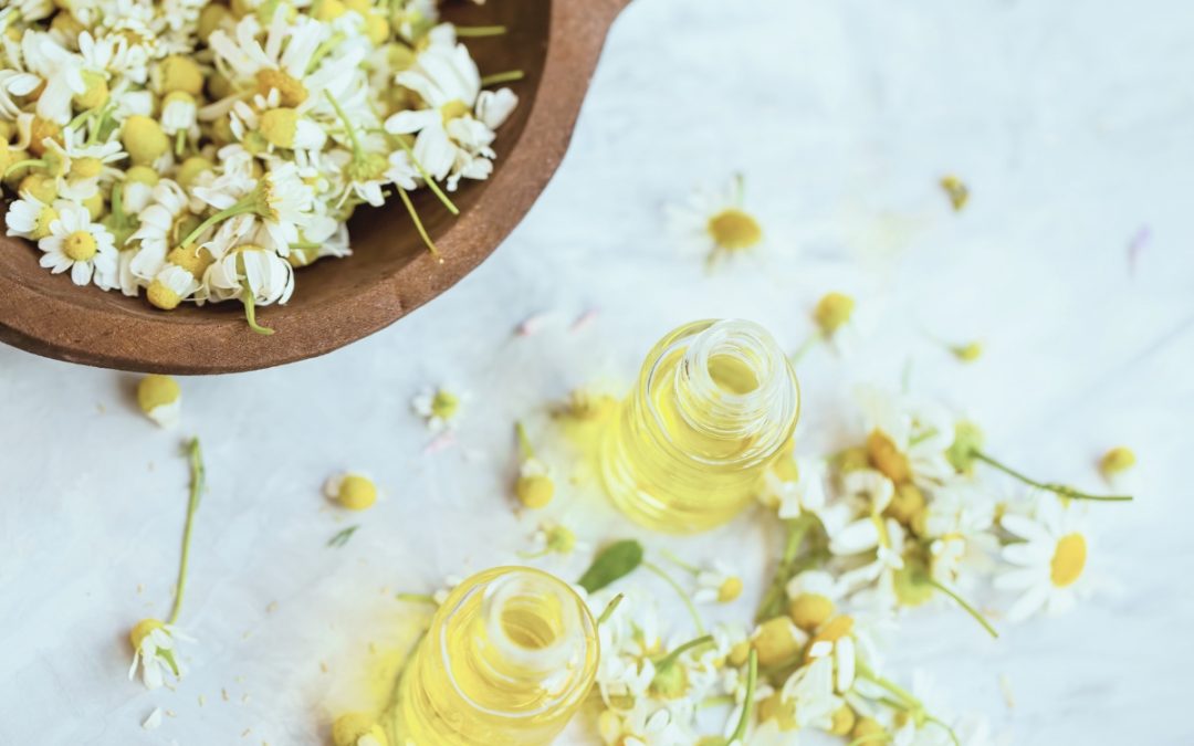 La Manzanilla romana: tu aliado natural antialérgico.